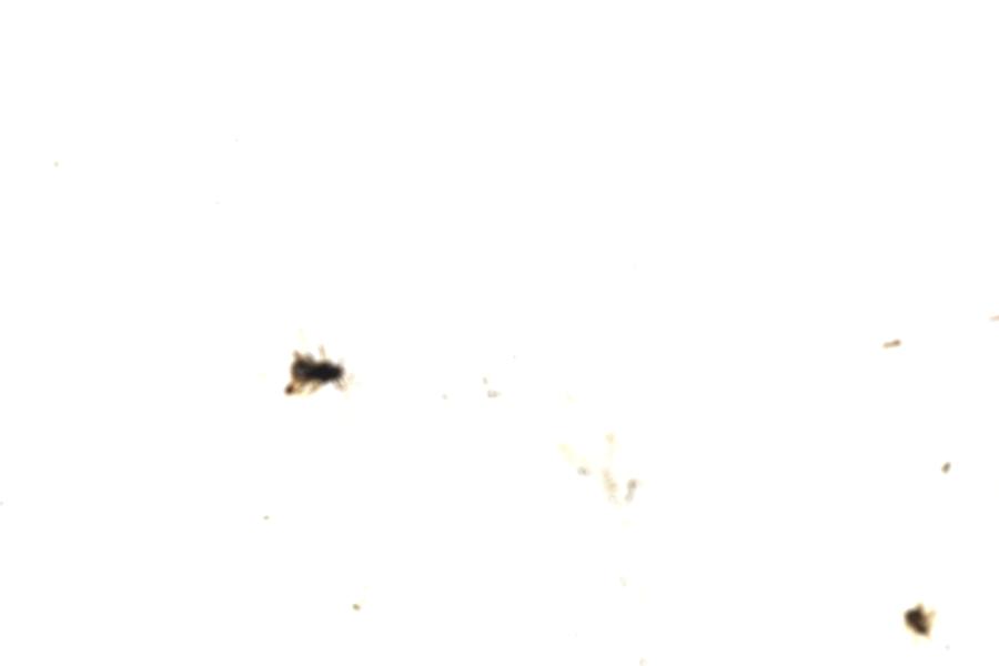 Image 59